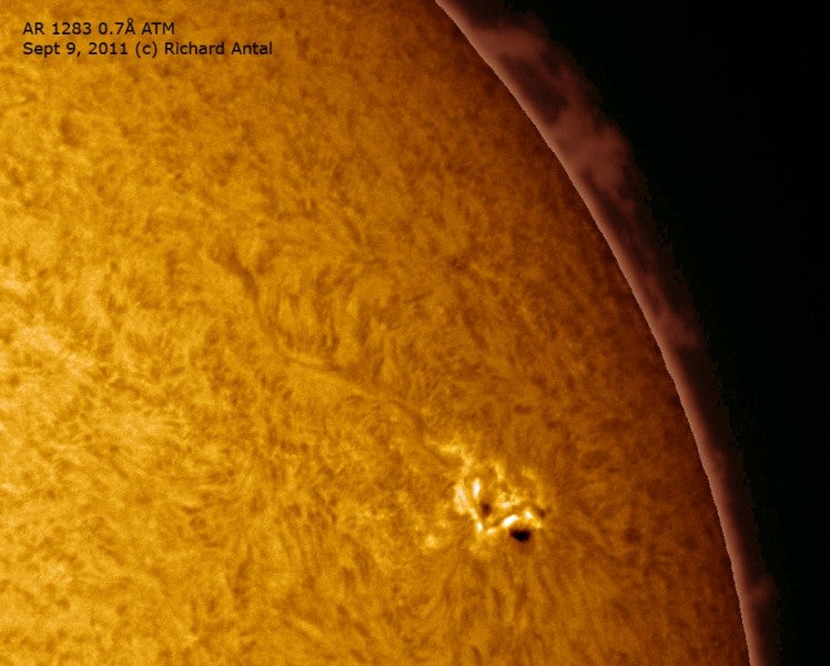 Daystar Combo Quark Solar Filter