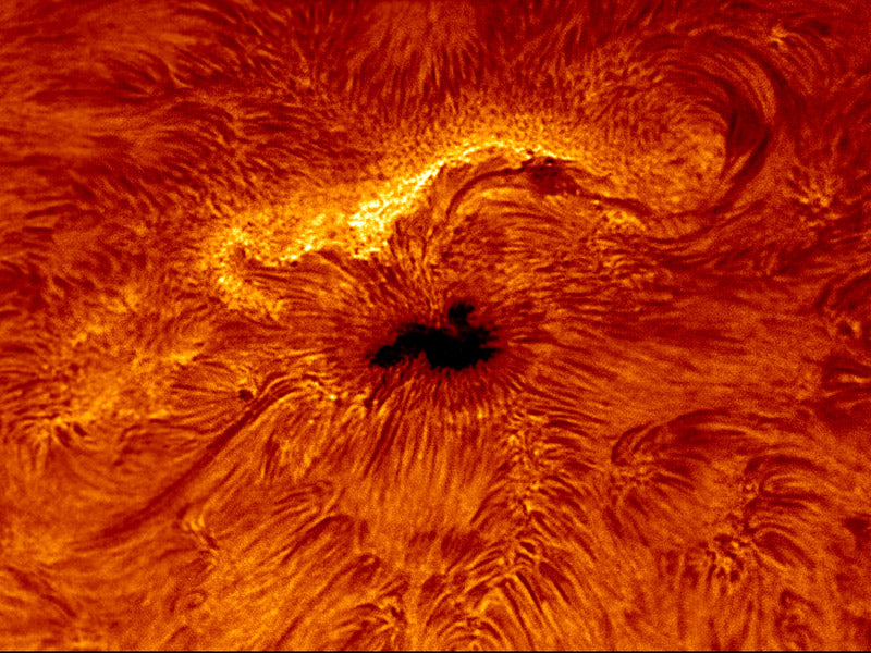 Daystar Quark Chromosphere Solar Filter - Premium H-alpha Eyepiece