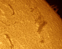 Daystar Solar Scout 80mm Telescope
