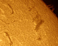Solar Scout 80mm Telescope
